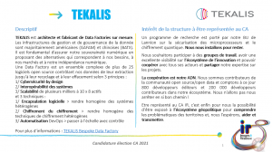 candidature tekalis