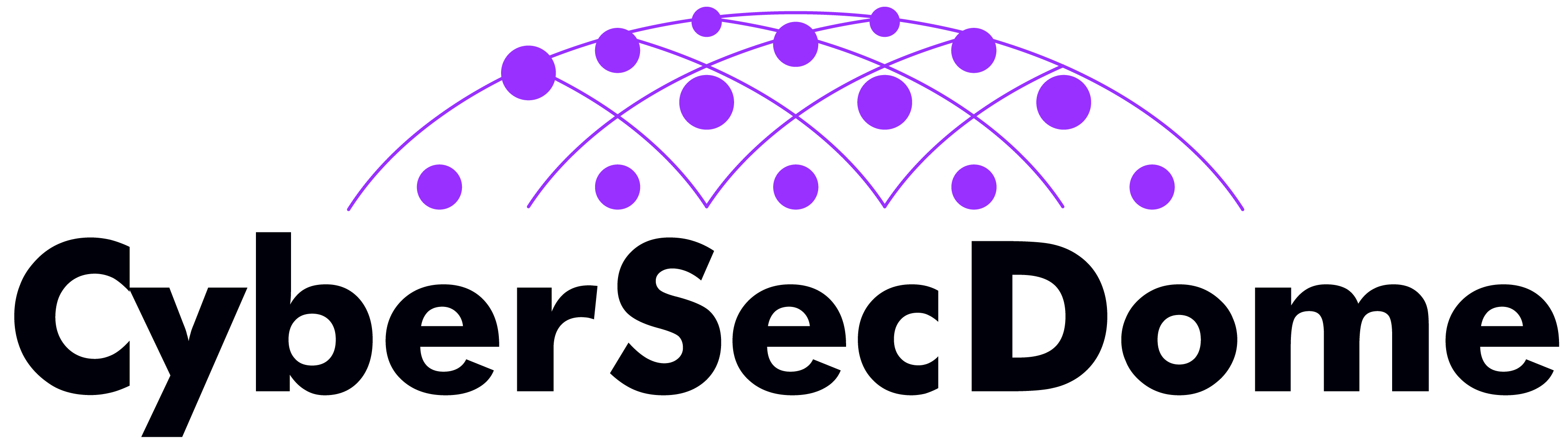 CyberSecDome_light-2