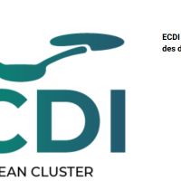 capture_260123_092451